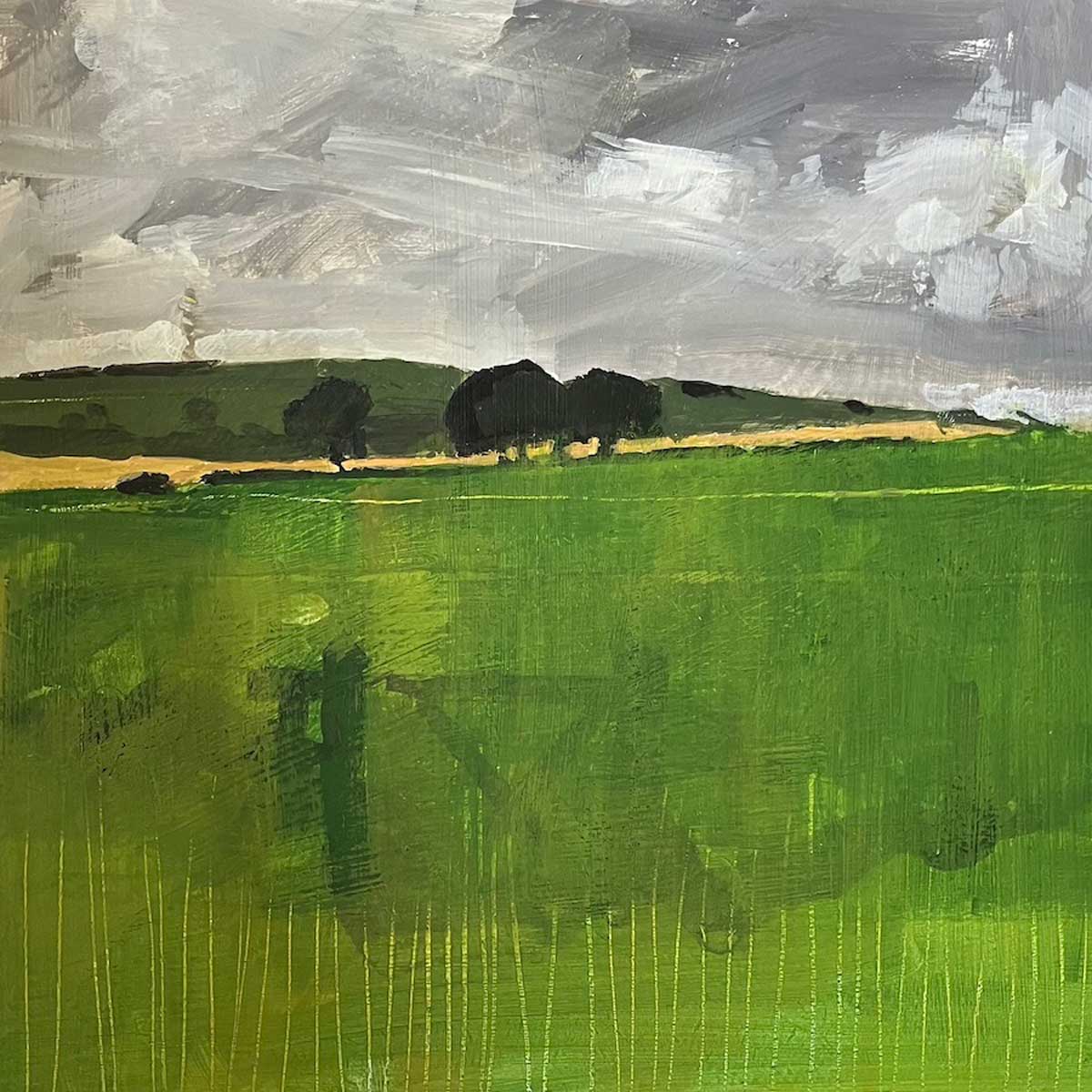 Downland near Glyndebourne 19.6.24 By Julian Sutherland-Beatson