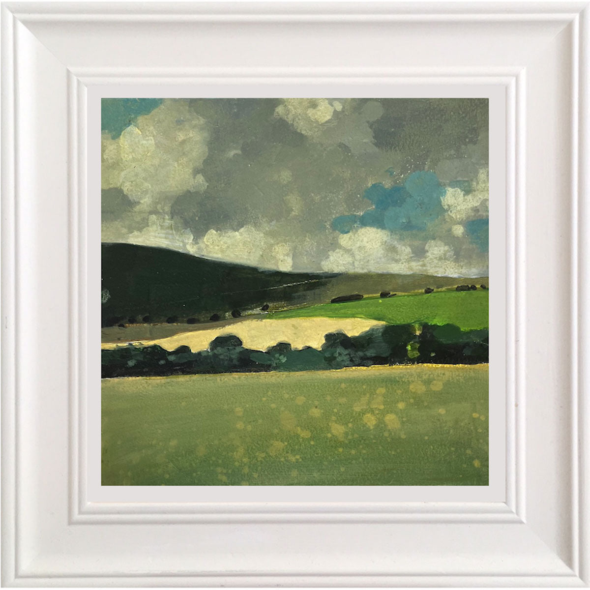 Shadow on the Downs near Glyndebourne 26.7.24 By Julian Sutherland-Beatson