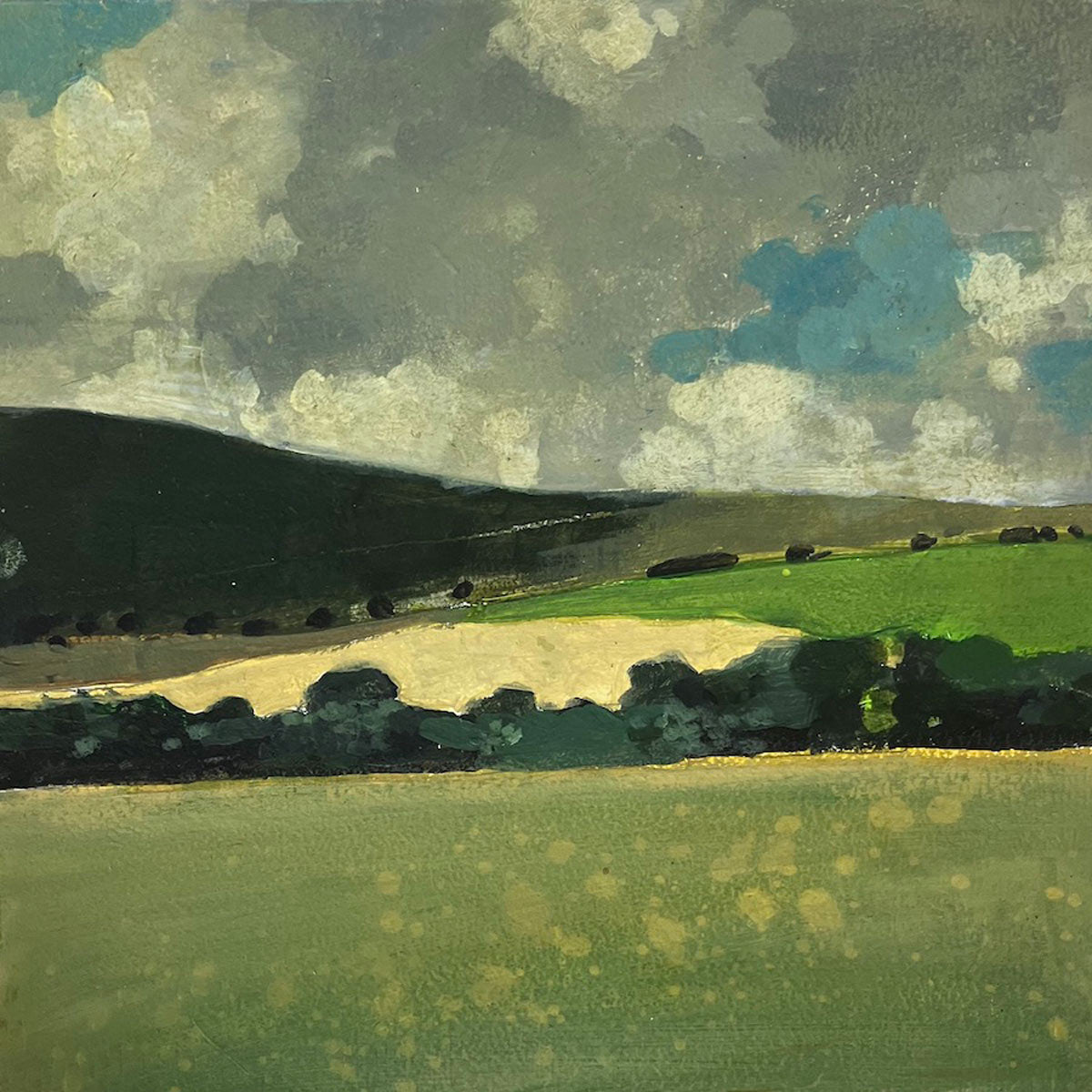 Shadow on the Downs near Glyndebourne 26.7.24 By Julian Sutherland-Beatson