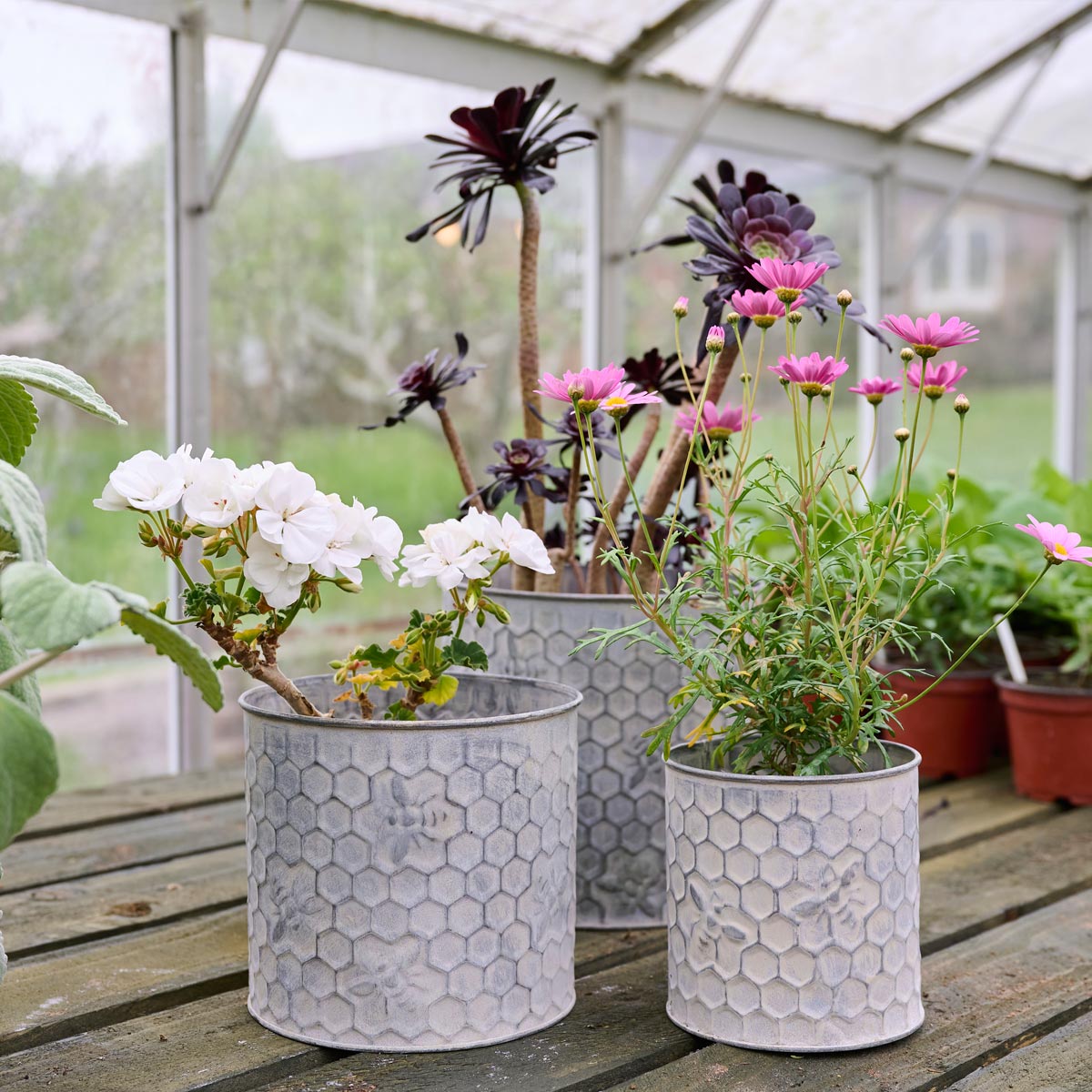 Zinc Bee Design Planters