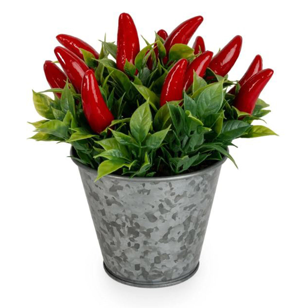 Chillies in Tin