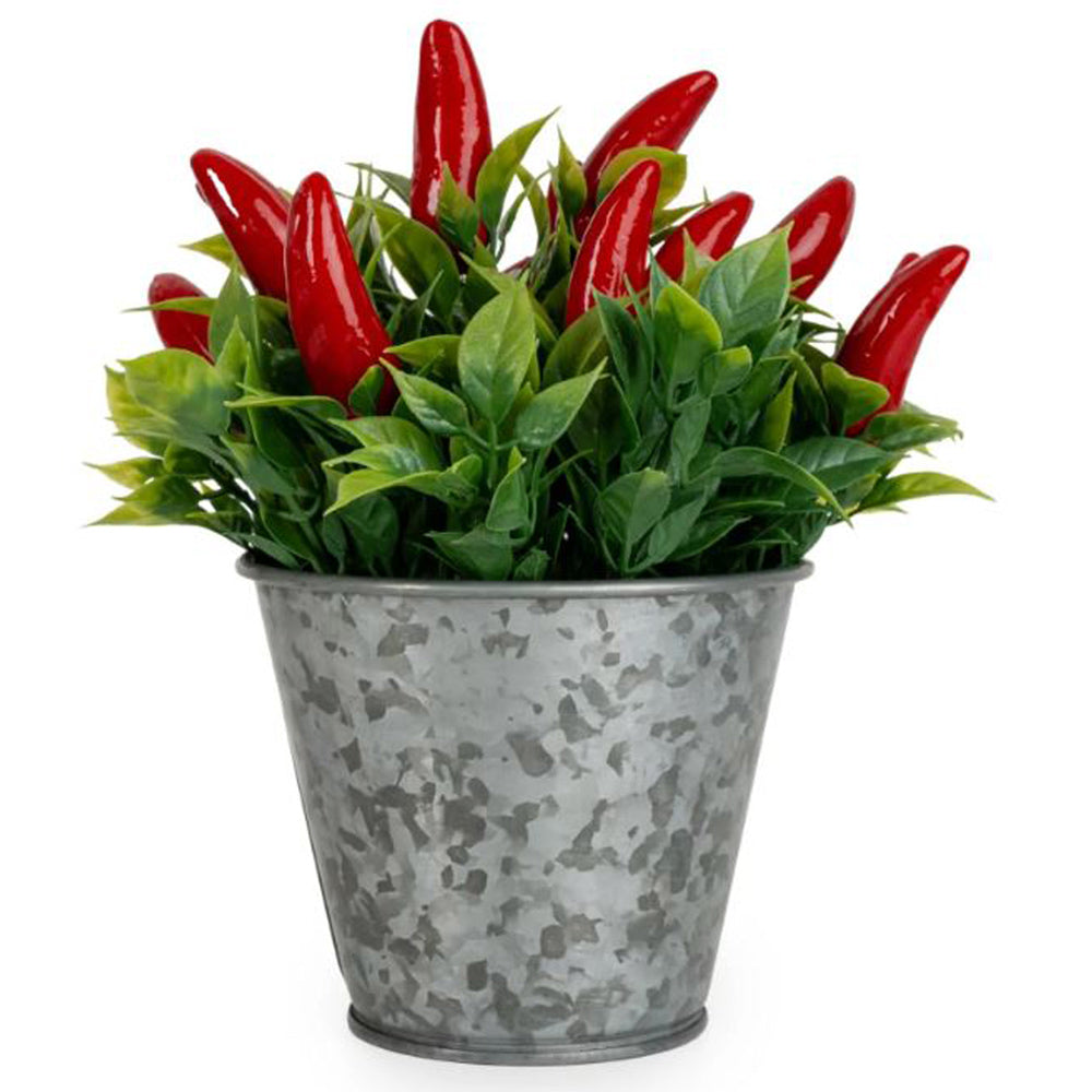 Chillies in Tin