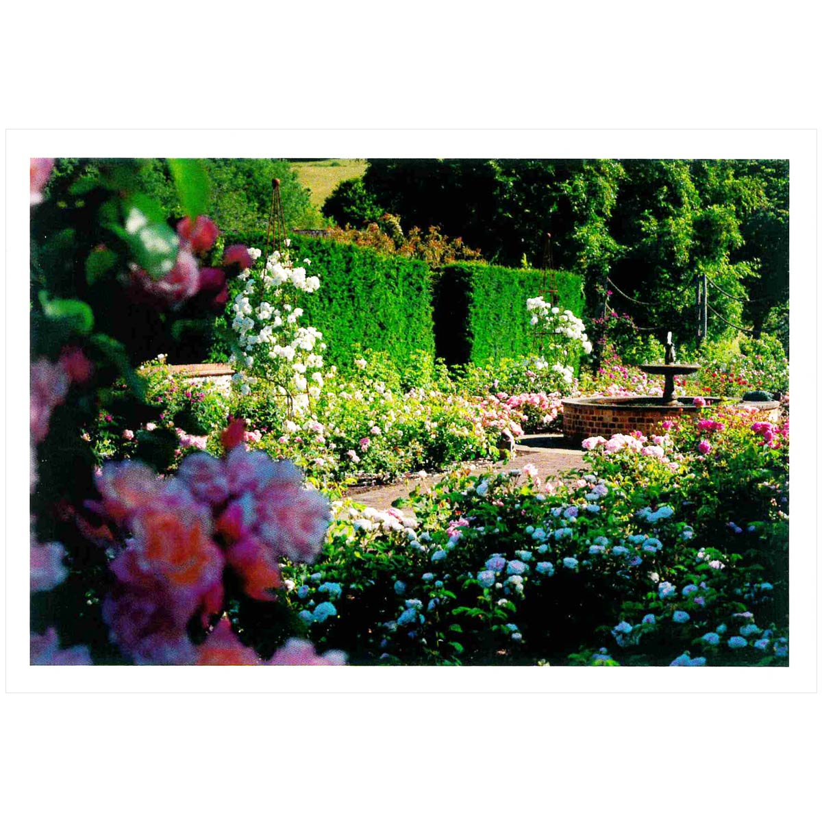 Glyndebourne House & Garden Postcard Pack of 10 