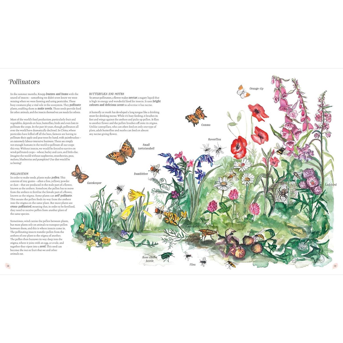 WILDING: HOW TO BRING WILDLIFE BACK By Isabella Tree & Angela Harding